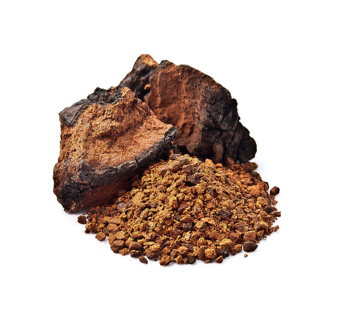 Chaga Vegan Capsules - Vigour (500mg)