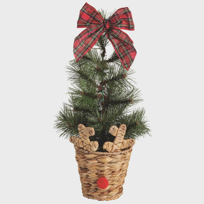 Large Reindeer Basket Fraser Fir Tree