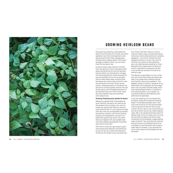 Recipe book page with green leafy plant on the left and text on the right.