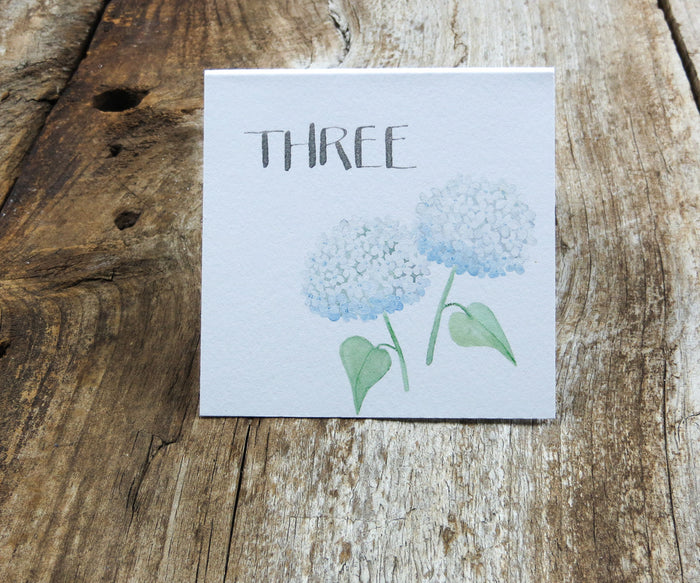 white hydrangea table number