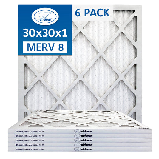 Air Bear 30x30x1 Pleated Air Filter