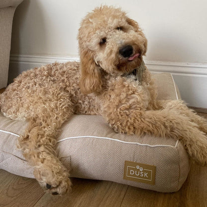 Bailey Pillow Dog Bed - Natural Herringbone - DUSK
