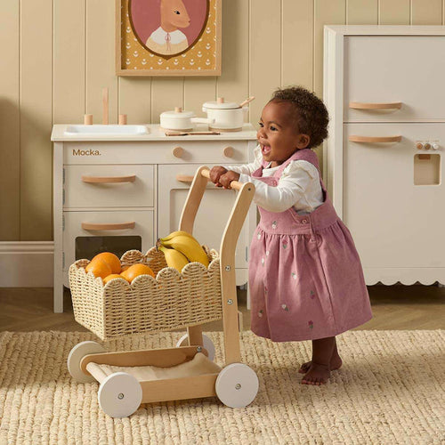 Basket Shopping Trolley