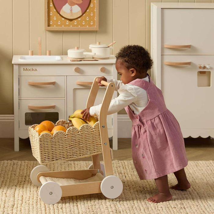 Basket Shopping Trolley