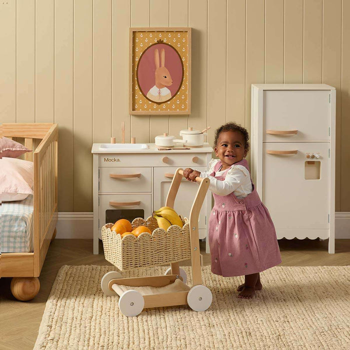 Basket Shopping Trolley
