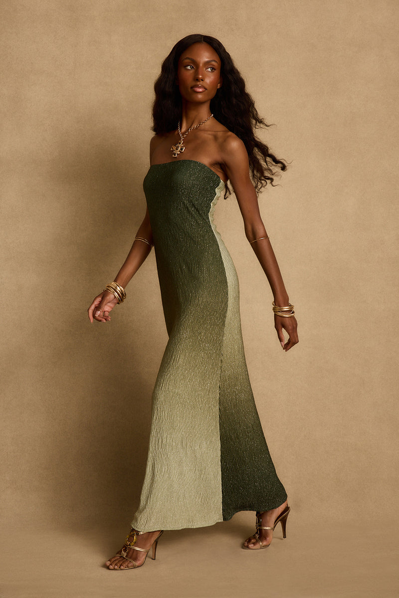 Brianna Sage Ombre Strapless Maxi Dress