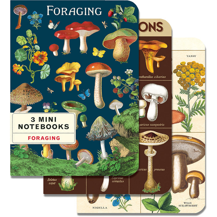 Cavallini Mini Notebook Set of Three Foraging