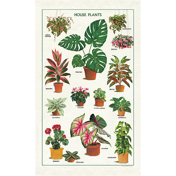 Cavallini Tea Towel House Plants