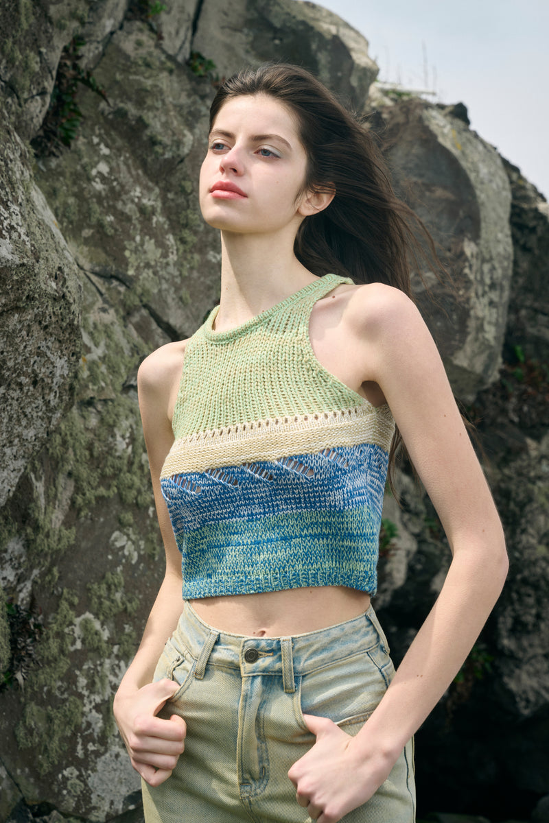 Colorblock cropped tank