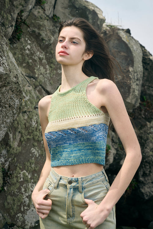 Colorblock cropped tank