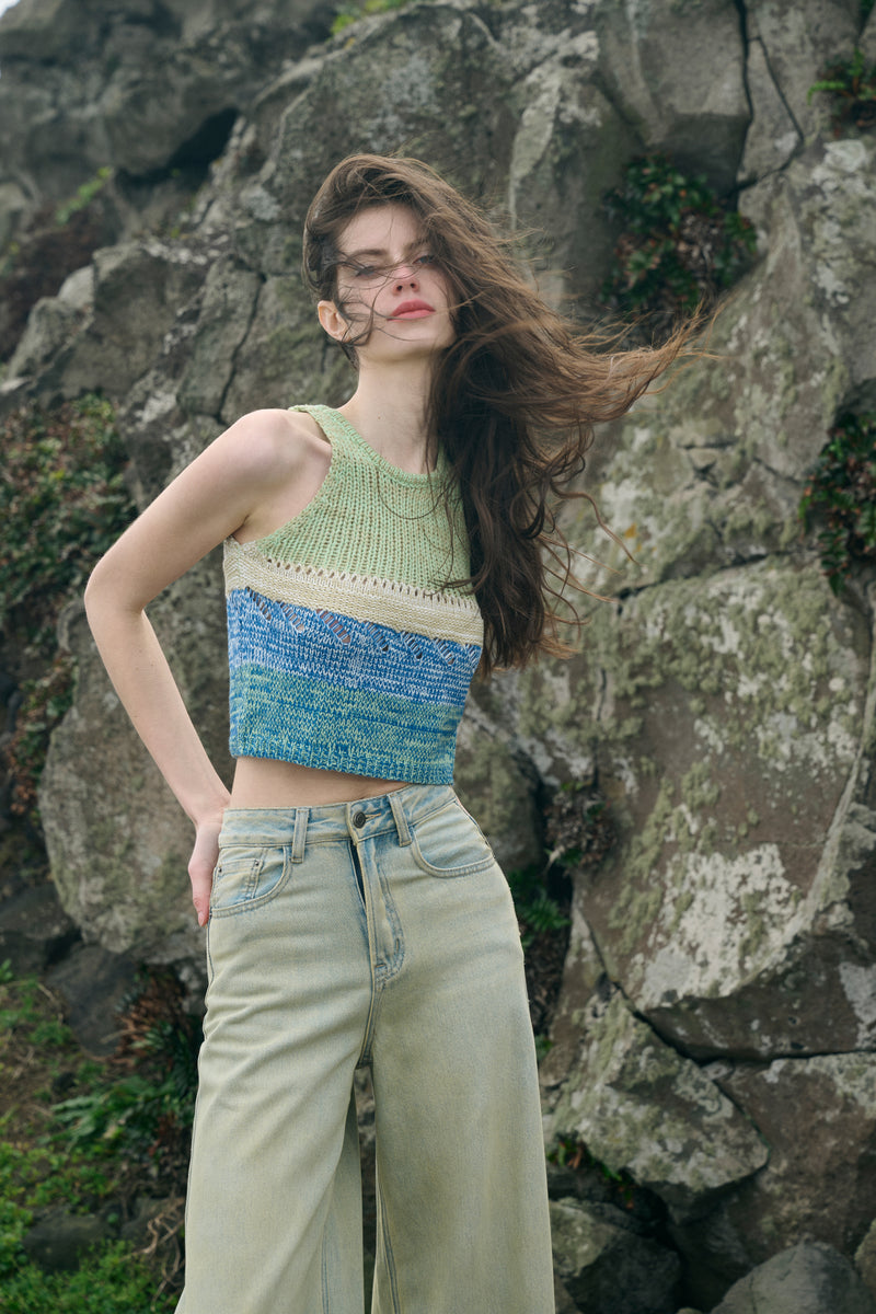 Colorblock cropped tank