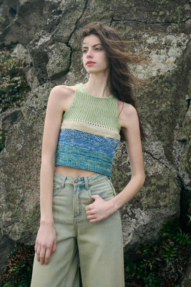Colorblock cropped tank