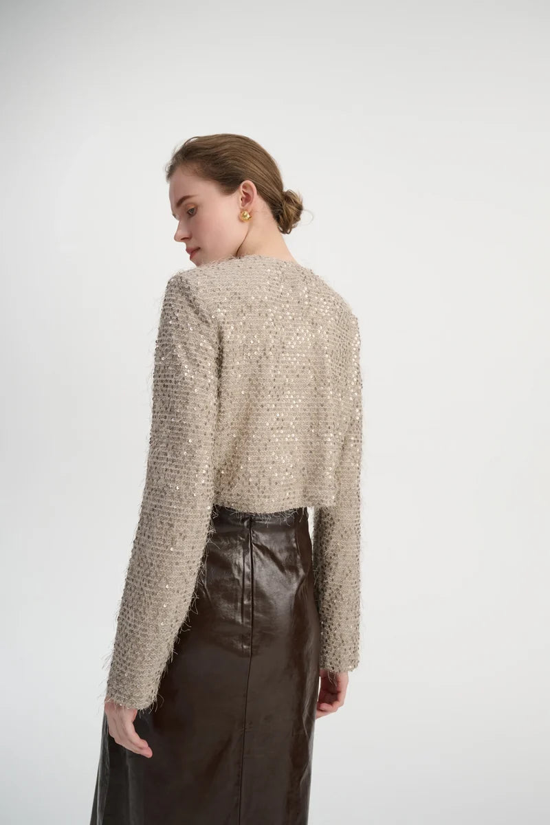 Cropped sequin top