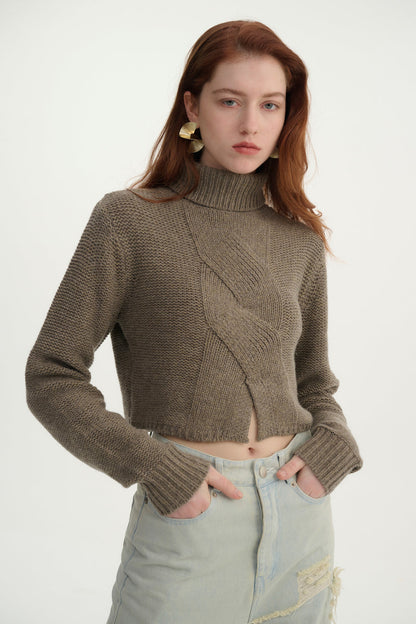 Cropped turtleneck sweater