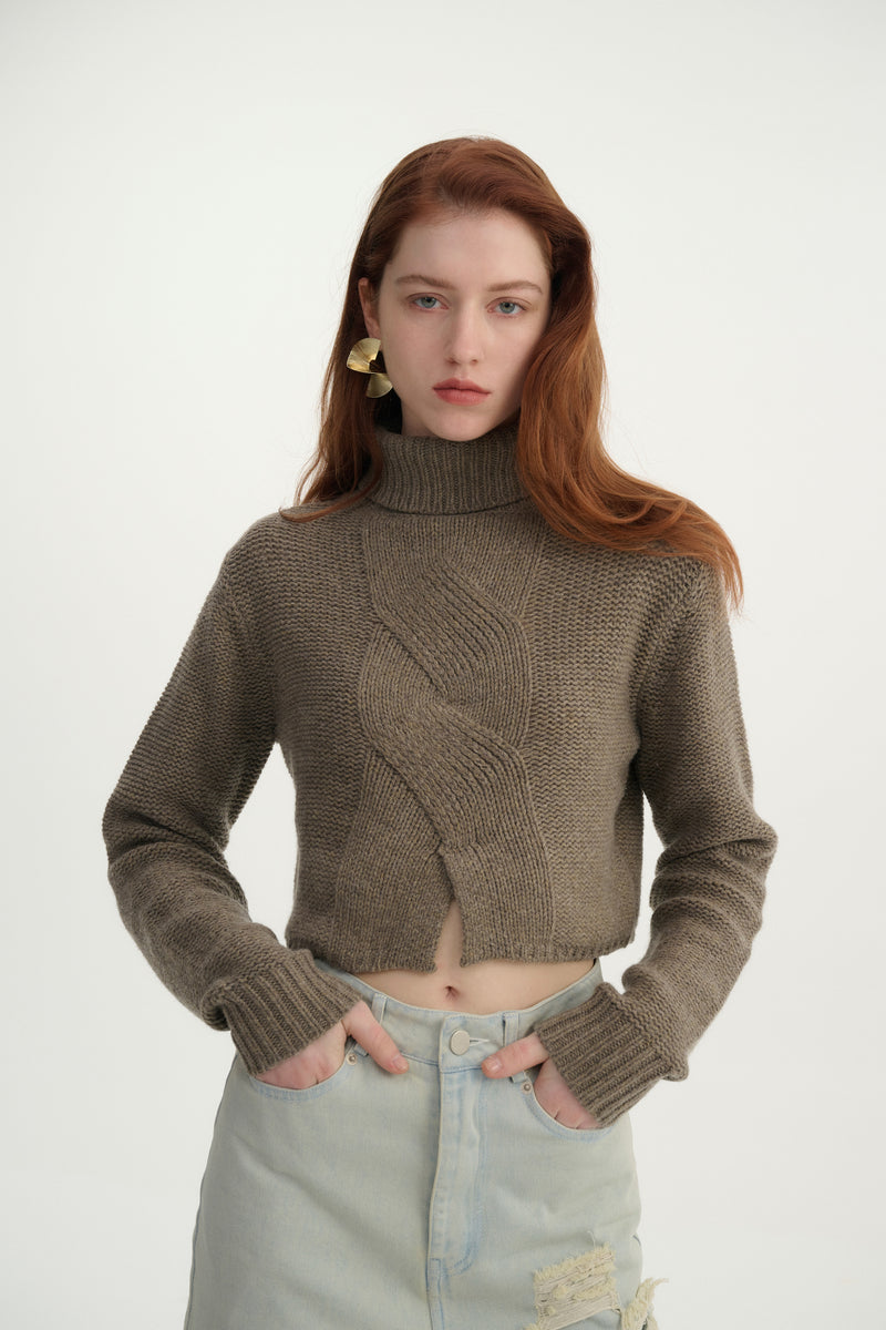 Cropped turtleneck sweater