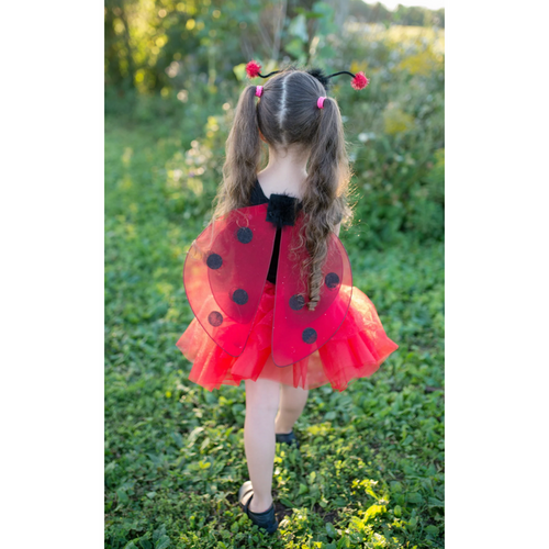 Glitter Ladybug Set