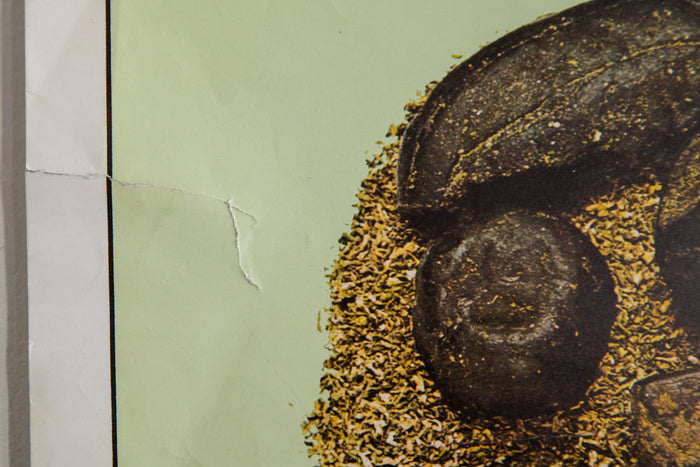 HASHISH