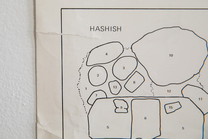 HASHISH