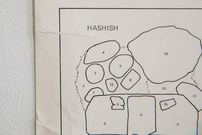 HASHISH