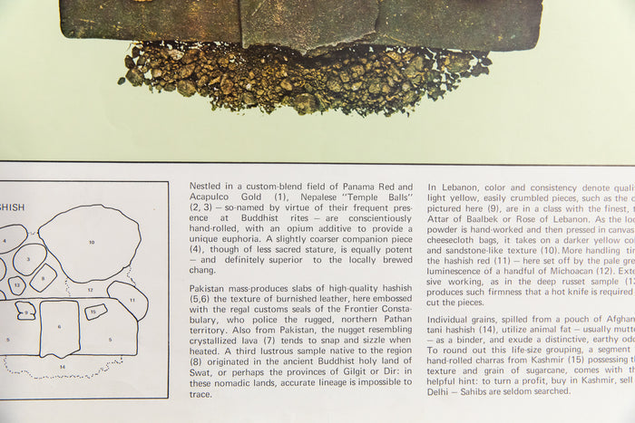 HASHISH