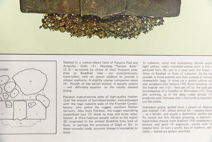 HASHISH