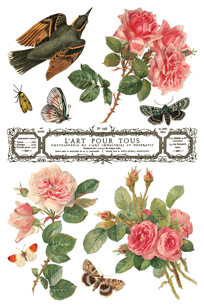 IOD Decor Transfer By Any Other Name 8"x12" 8-Pages Pad by Iron Orchid Designs