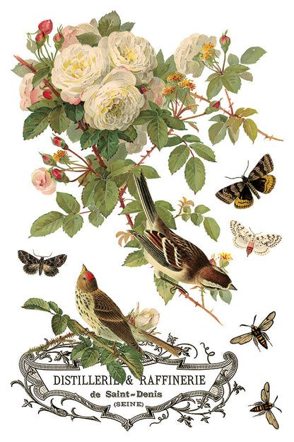 IOD Decor Transfer By Any Other Name 8"x12" 8-Pages Pad by Iron Orchid Designs