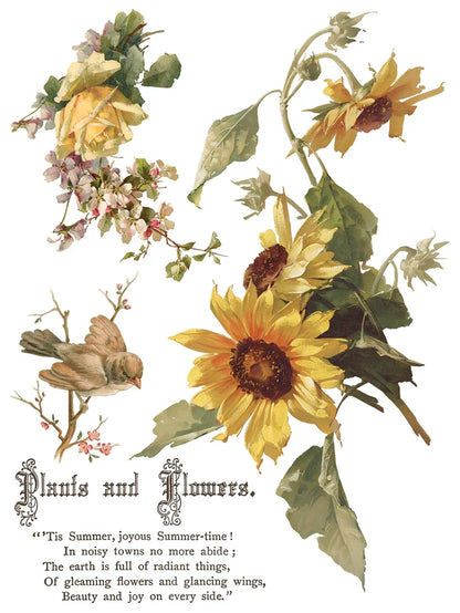 IOD Decor Transfer Flowers by the Poets 12"x16" 8-Pages Pad by Iron Orchid Designs