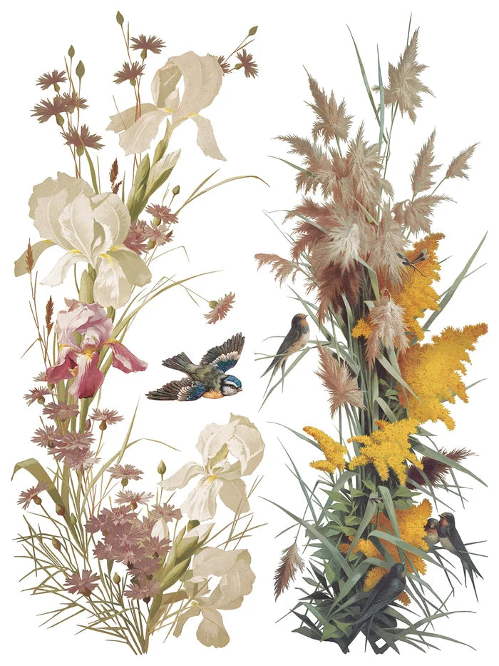 IOD Decor Transfer Flowers by the Poets 12"x16" 8-Pages Pad by Iron Orchid Designs