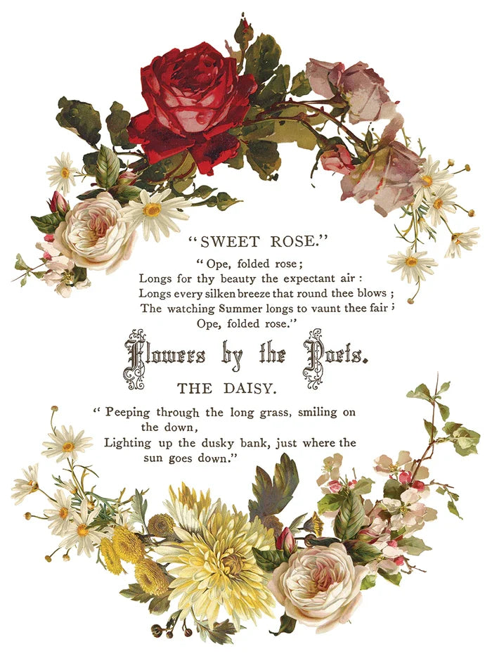 IOD Decor Transfer Flowers by the Poets 12"x16" 8-Pages Pad by Iron Orchid Designs