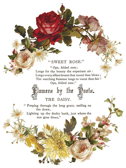 IOD Decor Transfer Flowers by the Poets 12"x16" 8-Pages Pad by Iron Orchid Designs