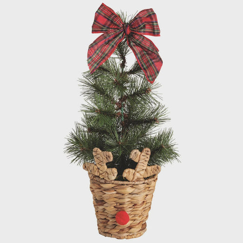 Large Reindeer Basket Fraser Fir Tree