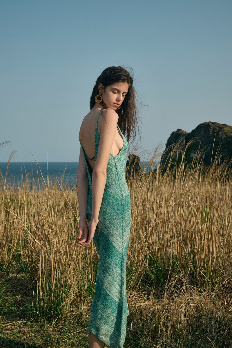 Open V back dress