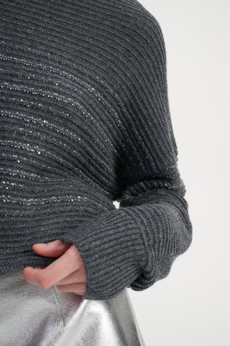 Sequin touch turtleneck sweater