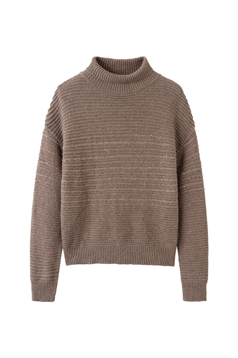 Sequin touch turtleneck sweater