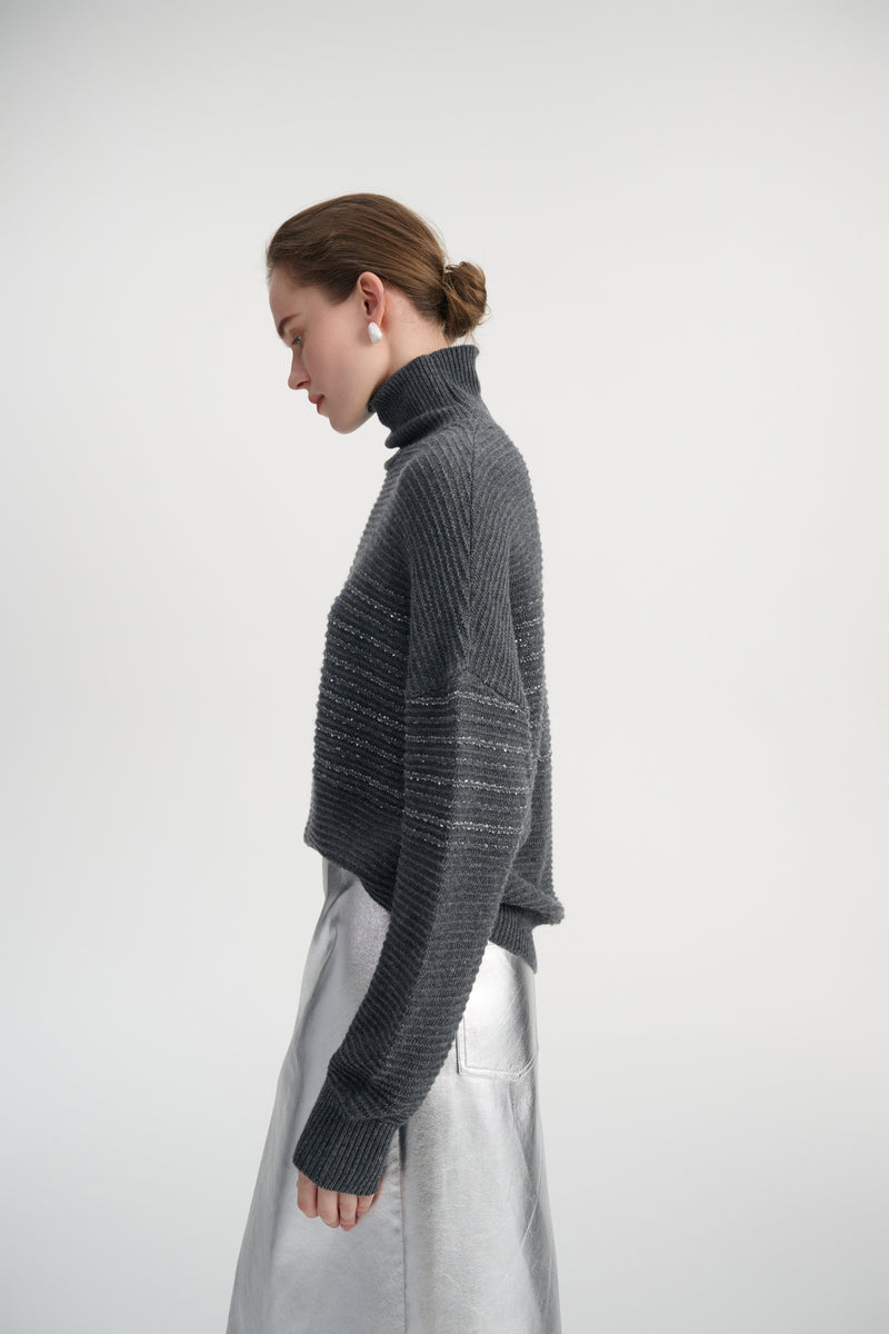 Sequin touch turtleneck sweater
