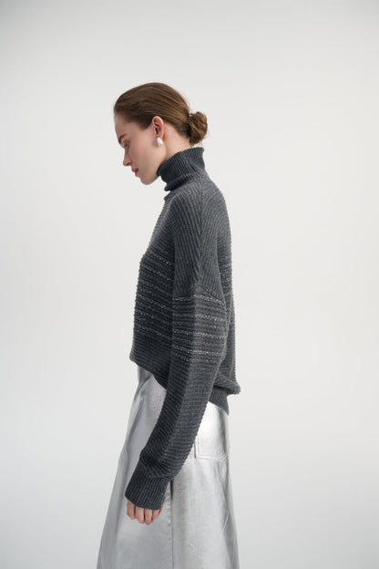 Sequin touch turtleneck sweater