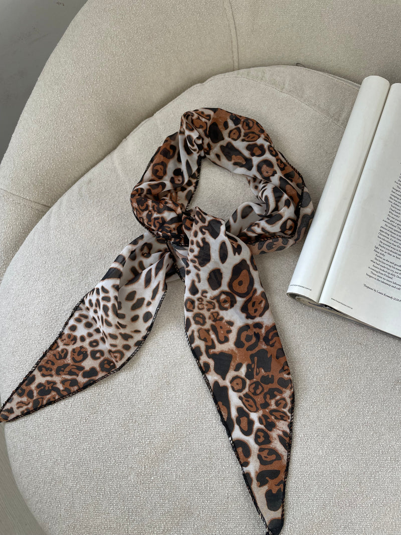 SHALL LEOPARD