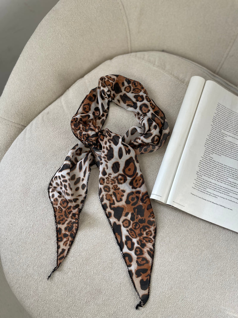 SHALL LEOPARD