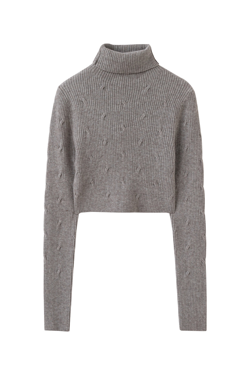 Slim fit cropped turtleneck