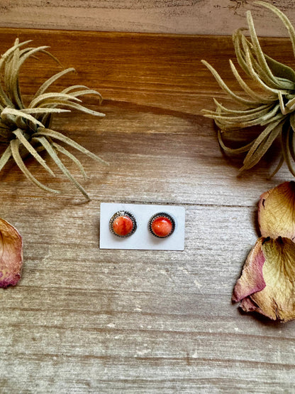 Spiny Oyster Stud Earrings – Sterling Silver - pick your