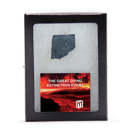 The Great Dying Extinction Event - Siberian Traps Slab