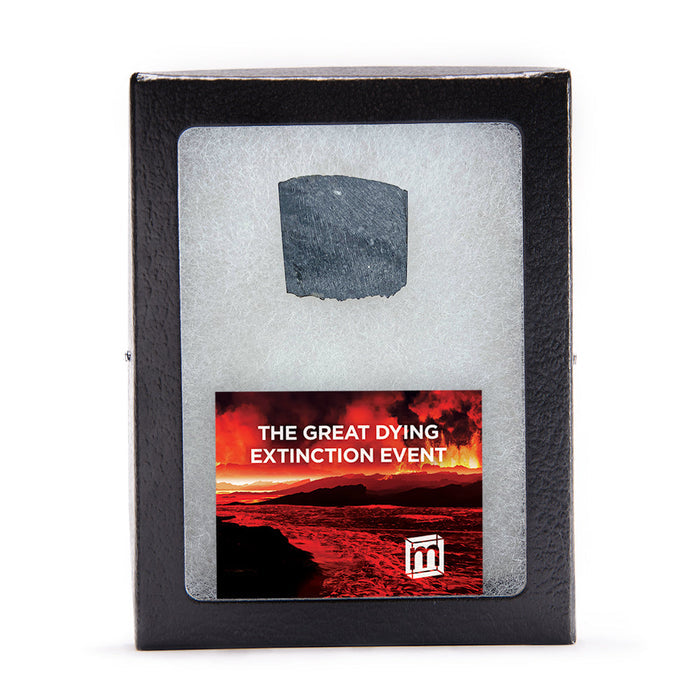 The Great Dying Extinction Event - Siberian Traps Slab