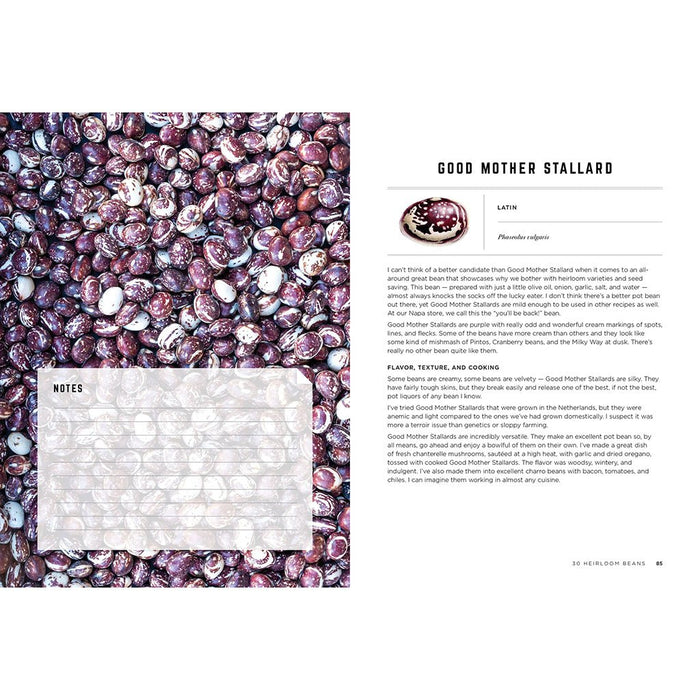 Page from a recipe book featuring purple beans and text about 'Good Mother Stallard'.