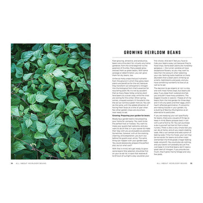 Recipe book page with green leafy plant on the left and text on the right.